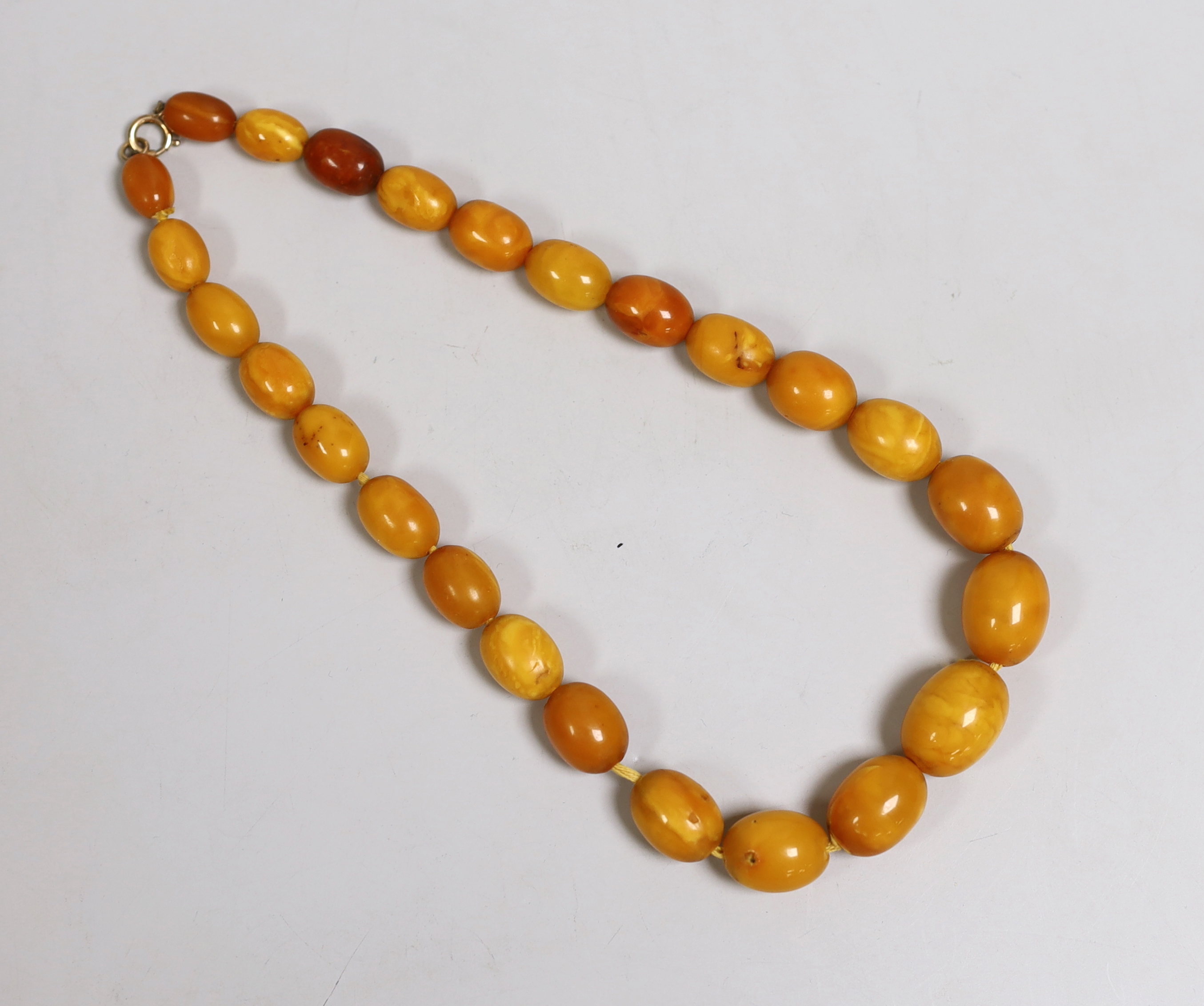 A single strand graduated oval amber bead necklace, 46cm, gross 51 grams.